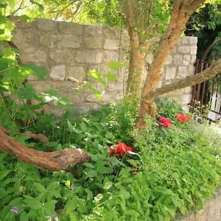 Appartement Osor, Losinj - 8004