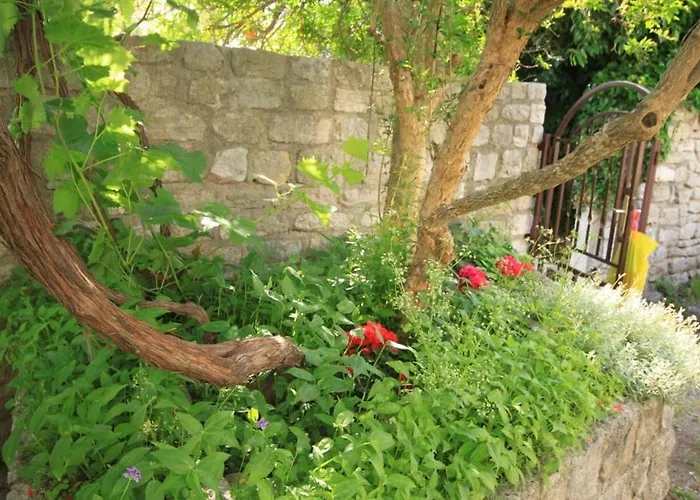 Apartman Osor, Losinj - 8004